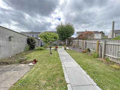 Picture 19
